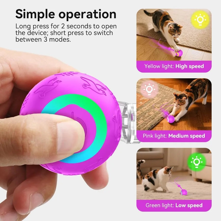 Interactive Indoor Cat Toy Ball Motion Activated USB Purple