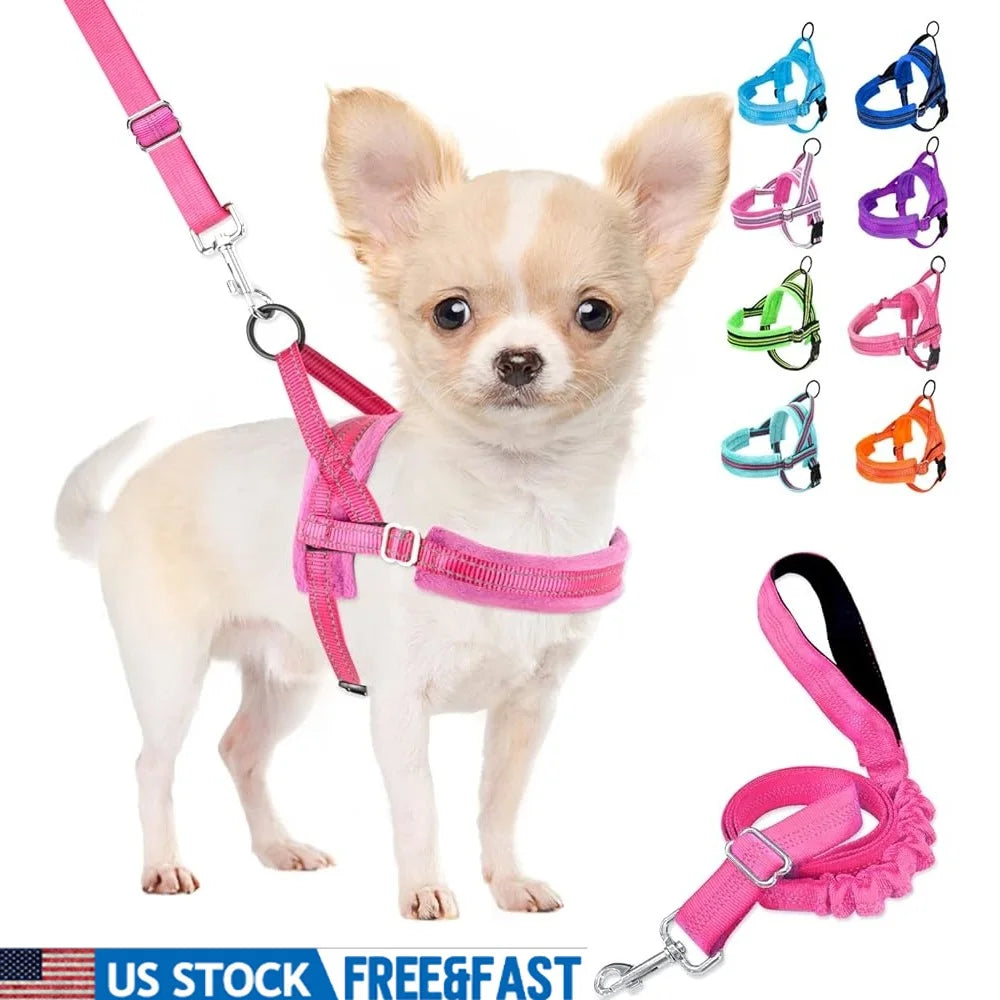 Soft Padded Reflective Dog Harness Leash Set Small Dogs 4ft