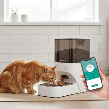 Automatic Cat Feeder Timed