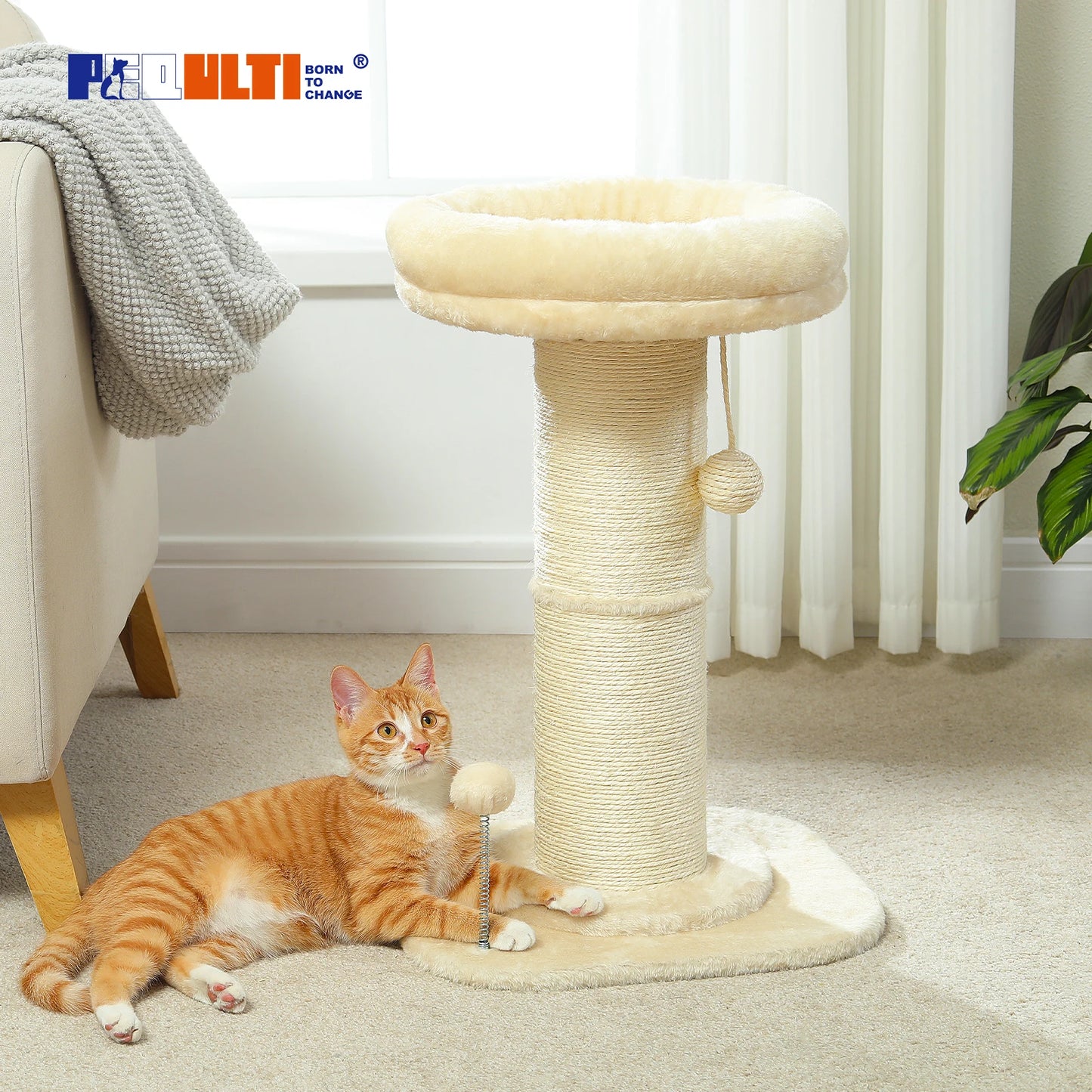 Cat Scratching Post With Unique Design Easy To Assemble