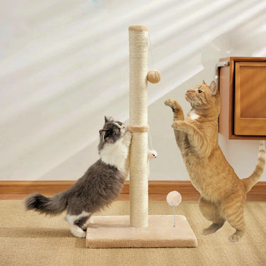 Cat Scratching Toys