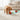 Hot Interactive Cat Toys