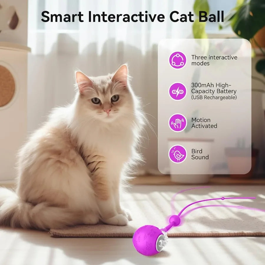 Interactive Indoor Cat Toy Ball Motion Activated USB Purple
