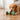Pet Leaky Puzzle Dog Toy