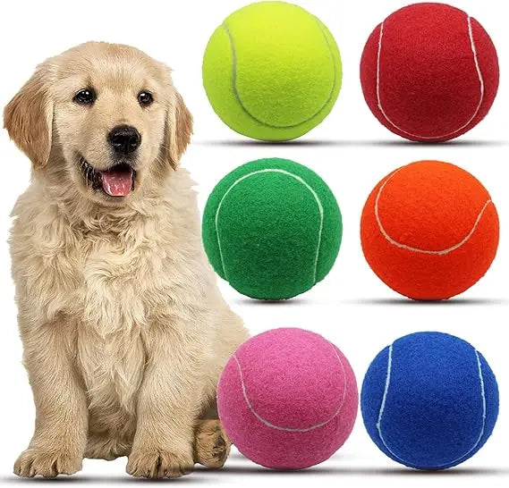Magicorange Large 4 Inch Tennis Balls For Dogs Pack Of 6