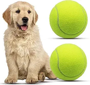 Magicorange Large 4 Inch Tennis Balls For Dogs Pack Of 6