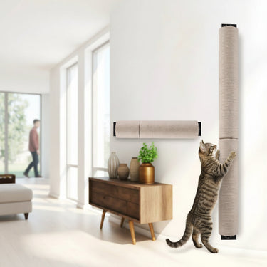 cat post