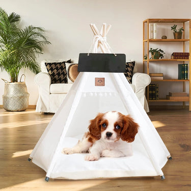 dog tent