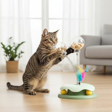 Turntable Cat Treat Toy
