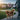 dogs collars and leashes