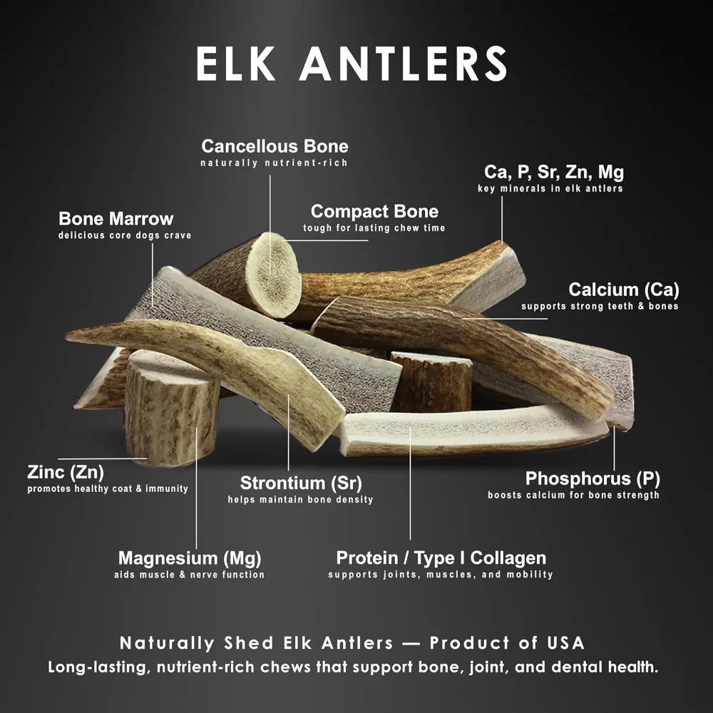 Elk Antler Dog Chews 1Lb For Small Dogs 5 To 7 Inches