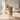 Interactive Dog Toys