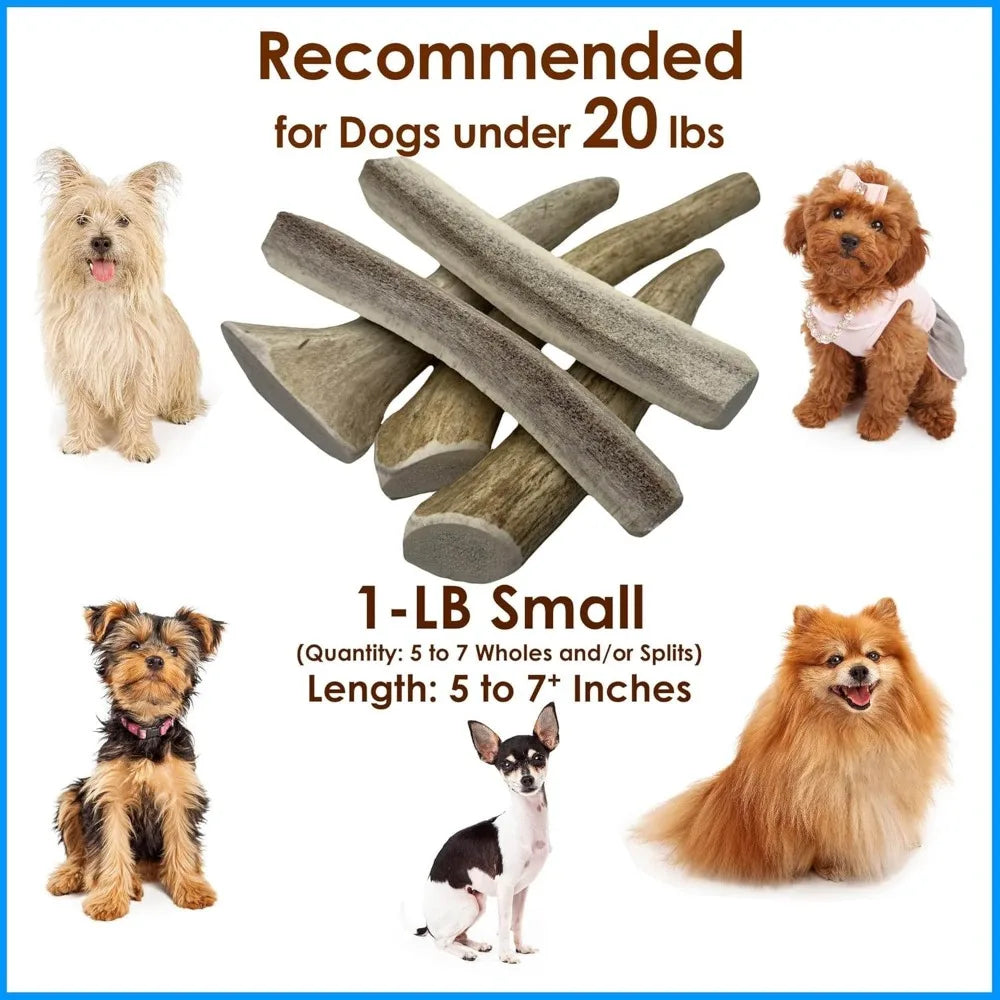 Elk Antler Dog Chews 1Lb For Small Dogs 5 To 7 Inches