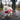 Reflective Waterproof Dog
