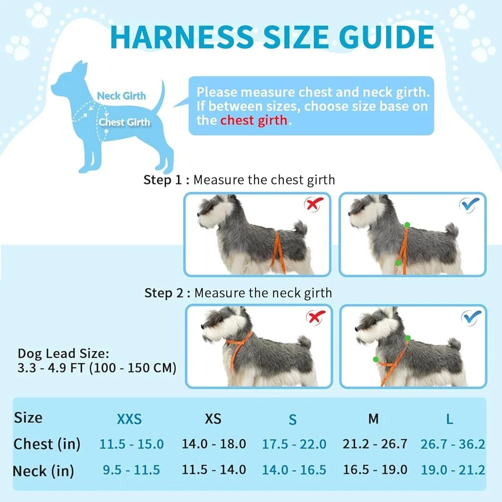 Soft Padded Reflective Dog Harness Leash Set Small Dogs 4ft