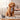slicker brush for dogs