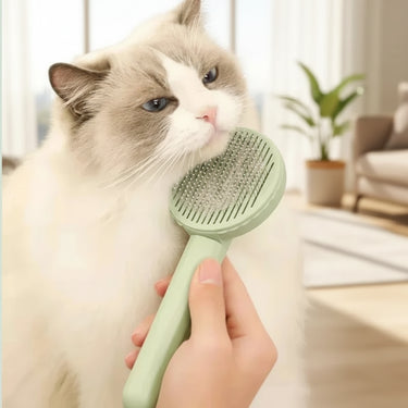 cat brush