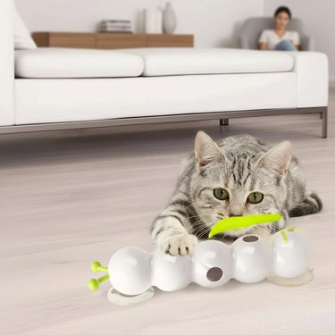 Toys of Cat