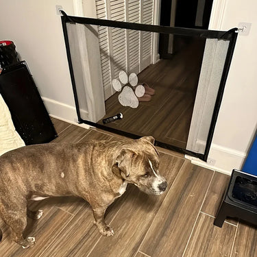 pet partition