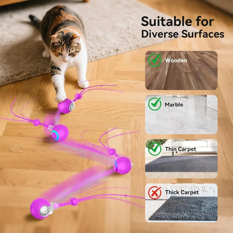 Interactive Indoor Cat Toy Ball Motion Activated USB Purple