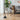 Cat Teaser Toy