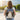 dog carrier backpack
