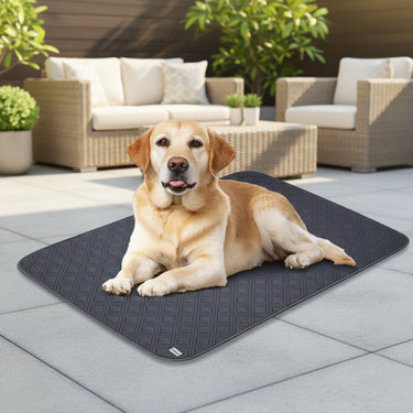 dog cooling mat