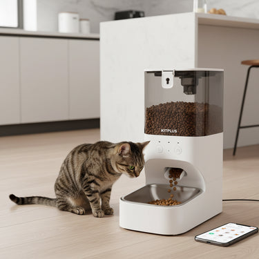 Automatic Cat Feeder Timed