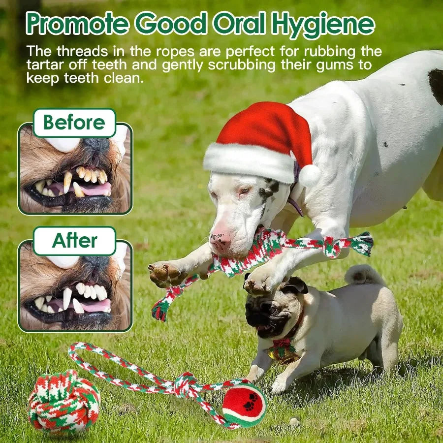 Christmas Dog Rope Chew Toys Set For Puppies And Chewers