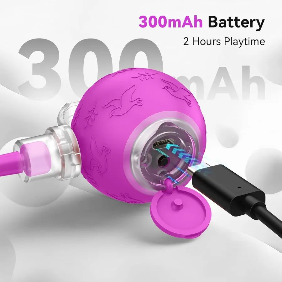 Interactive Indoor Cat Toy Ball Motion Activated USB Purple