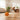 Smart Bouncing Pet Ball