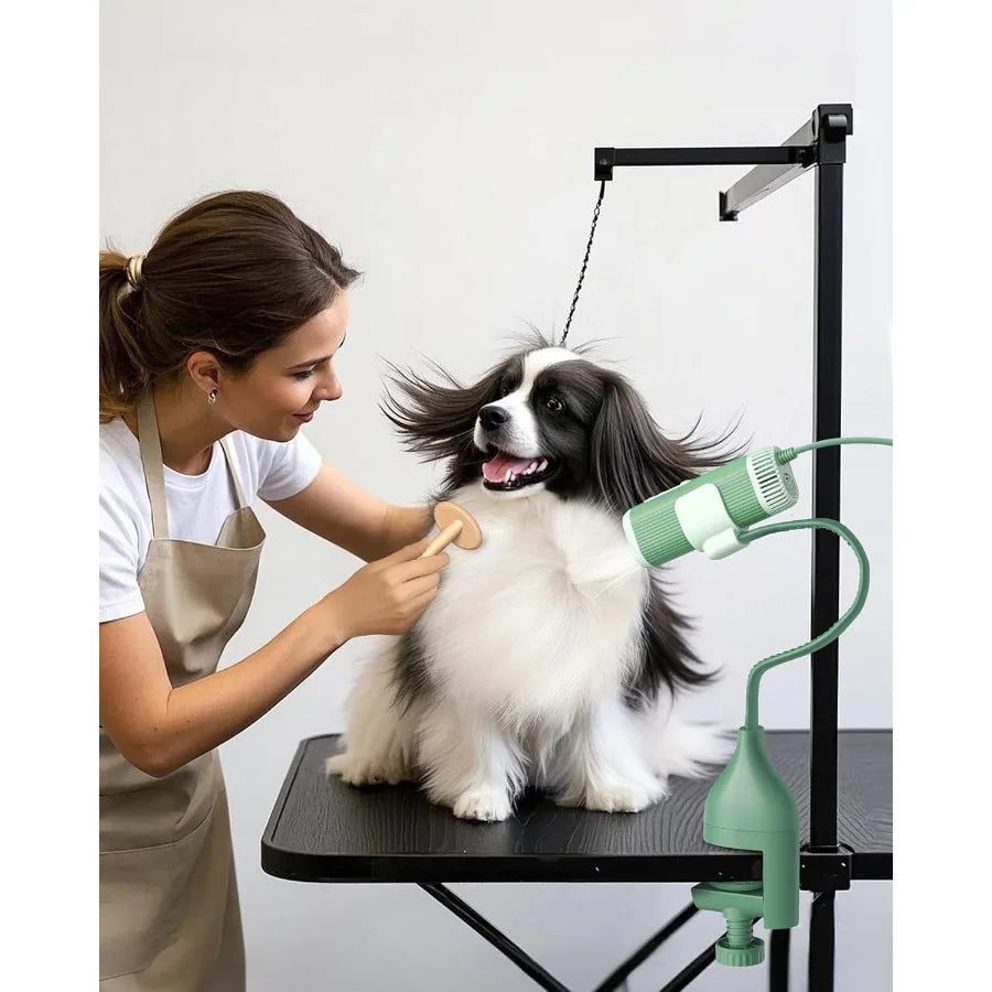 2In1 Pet Hair Dryer With Clamp Stand 950W Low Noise