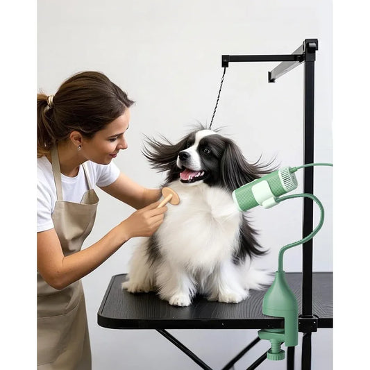 2In1 Pet Hair Dryer With Clamp Stand 950W Low Noise