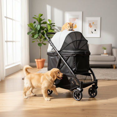 Folding Pet Stroller