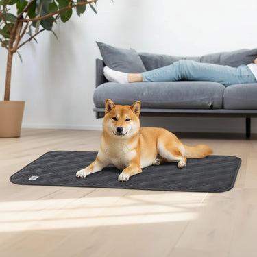 dog cooling mat