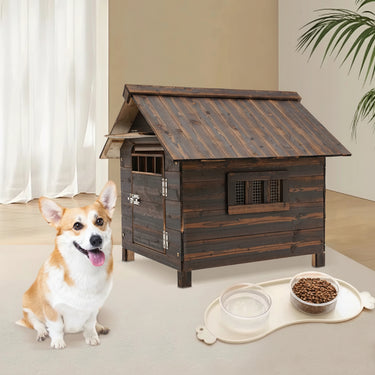 Pet House & Dog House