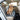 dog seat covers