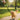 dog poop bags