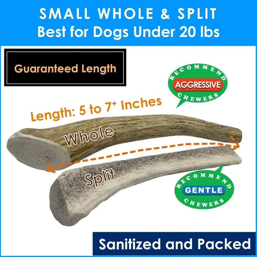 Elk Antler Dog Chews 1Lb For Small Dogs 5 To 7 Inches