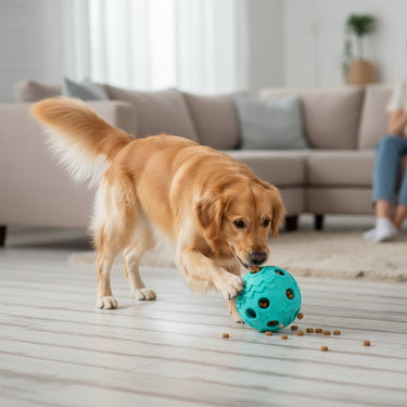 Dispensing Dog Ball