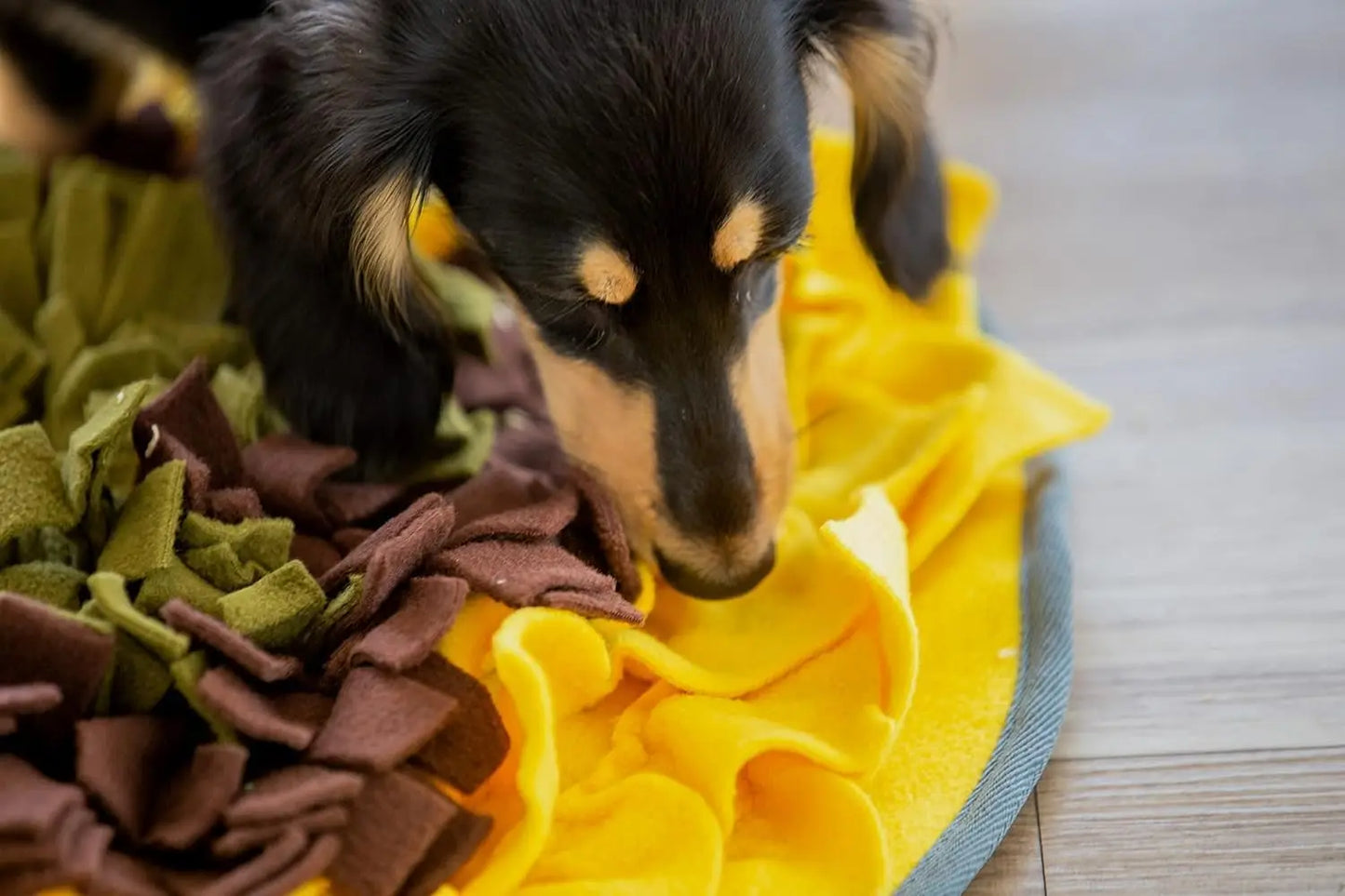 Sunflower Snuffle Mat Dogs Interactive Puzzle Feeding Mat