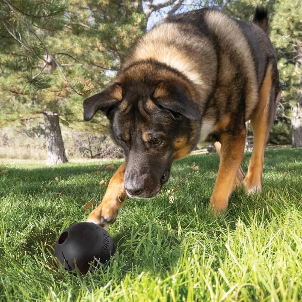 KONG Extreme Ball Dog Toy For Power Chewers Treats Training