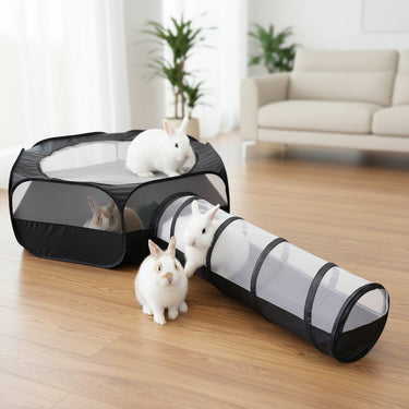 Cat Tunnel Play
