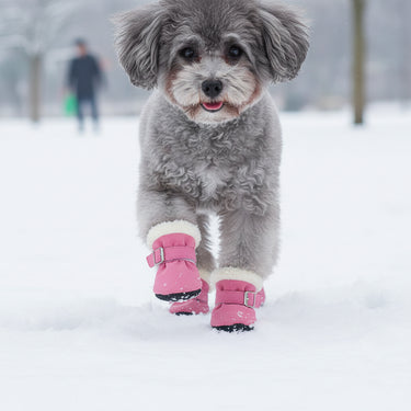 Dog Snow Boots