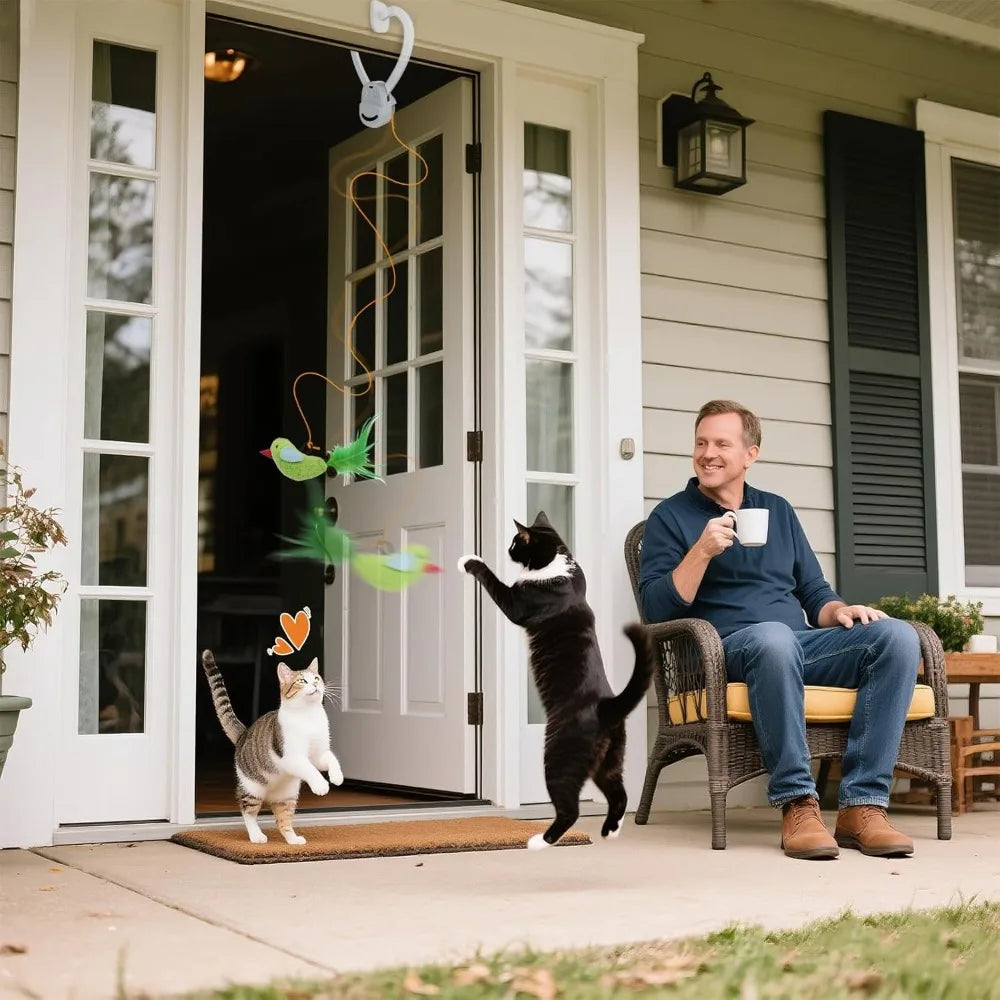 Interactive Cat Toys for Indoor Cats Automatic Electric Flying Bird Feather Wand Toy - Best Kitten & Adult Cat Enrichment Stimul