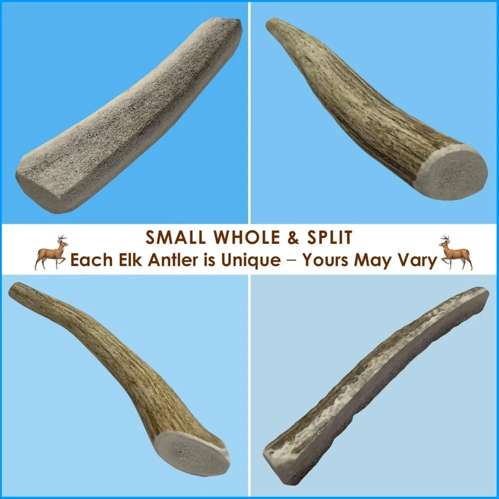 Elk Antler Dog Chews 1Lb For Small Dogs 5 To 7 Inches