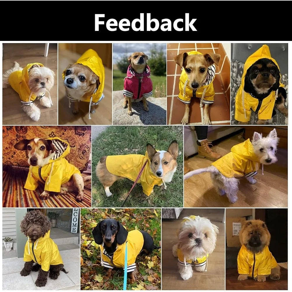 Dog Raincoat Waterproof Jacket With Harness Hole Pocket