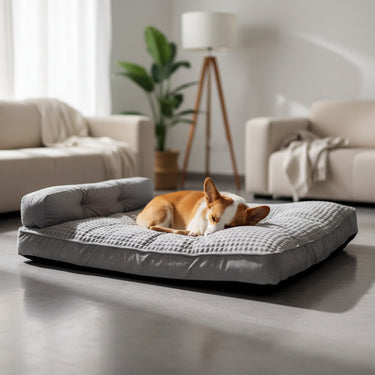 Dog Bed Fit