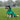 Dog Raincoat