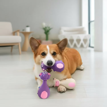 Latex Squeaky Dog Toy